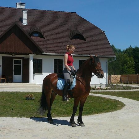 Zagrodowa Osada Villa Kazimierz Dolny Luaran gambar