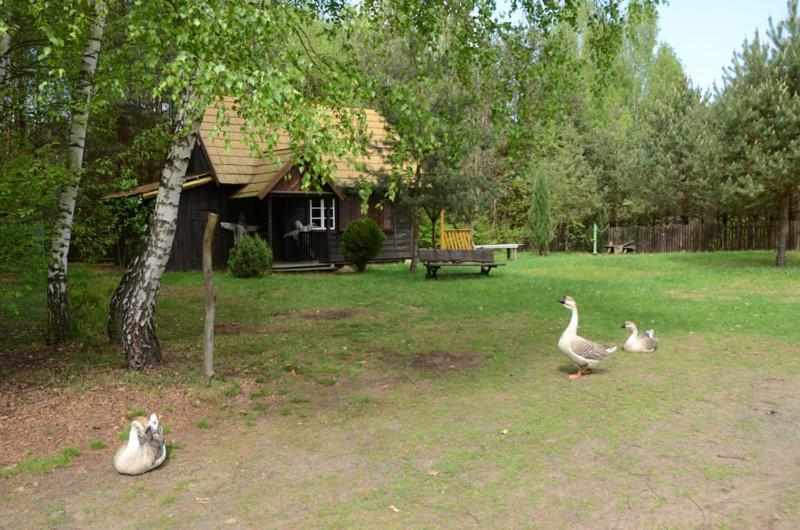 Zagrodowa Osada Villa Kazimierz Dolny Luaran gambar
